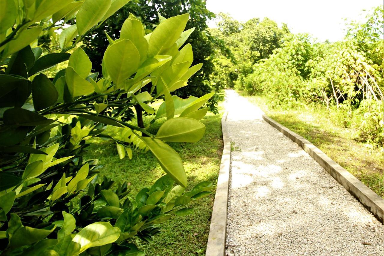 Hotel Cabanas Kin Balam Palenque Exteriér fotografie