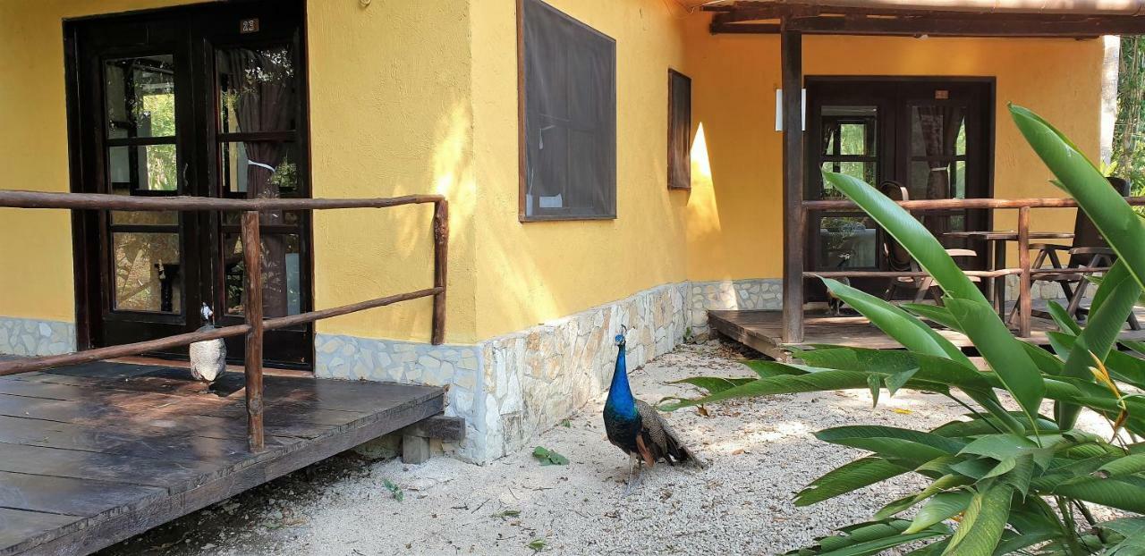 Hotel Cabanas Kin Balam Palenque Exteriér fotografie