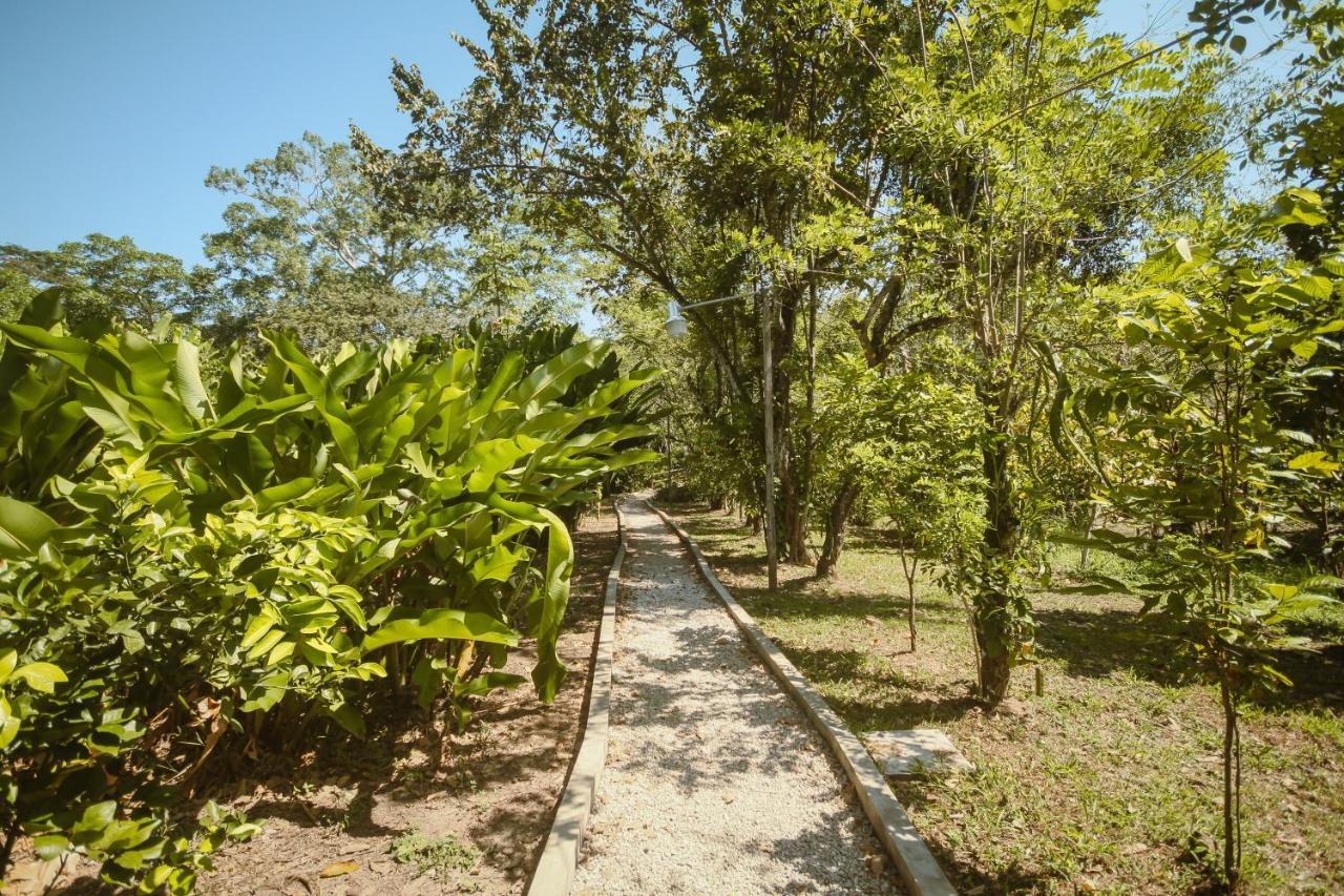 Hotel Cabanas Kin Balam Palenque Exteriér fotografie